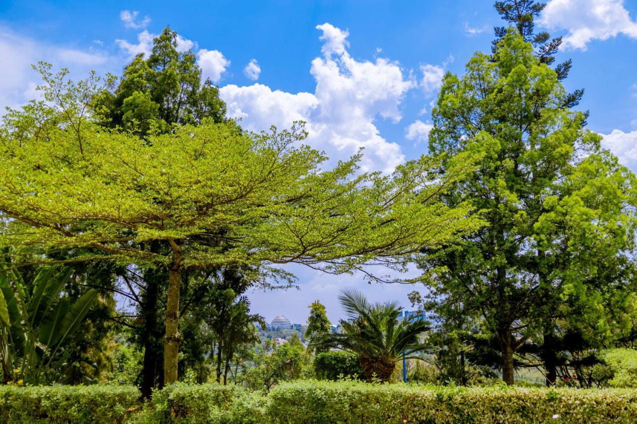 Nature Κιγκάλι Εξωτερικό φωτογραφία